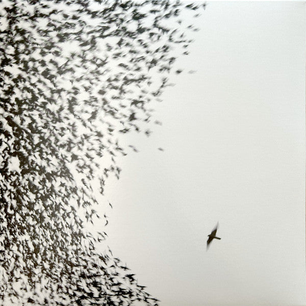 Wilco - Sky Blue Sky (2xLP) (Mint (M))