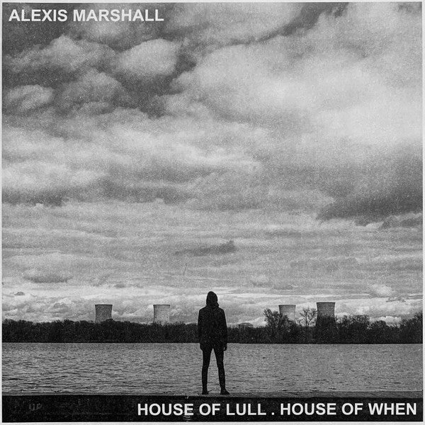 Alexis S.F. Marshall - House Of Lull. House Of When (LP) (Near Mint (NM or M-))