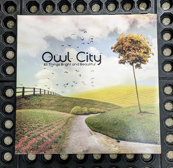 Owl City - All Things Bright And Beautiful (LP) (Mint (M))