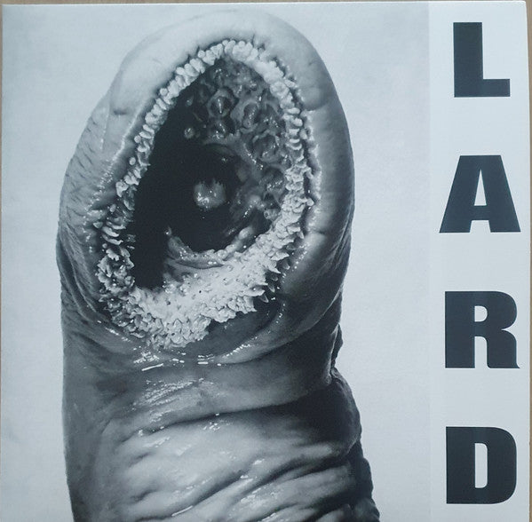Lard - Power Of Lard EP (12") (Mint (M))