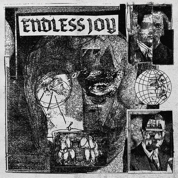 Endless Joy - Endless Joy (LP) (Mint (M))