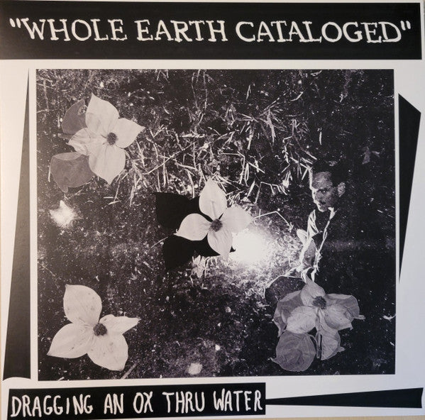 Dragging An Ox Through Water - Whole Earth Cataloged (LP) (Mint (M))