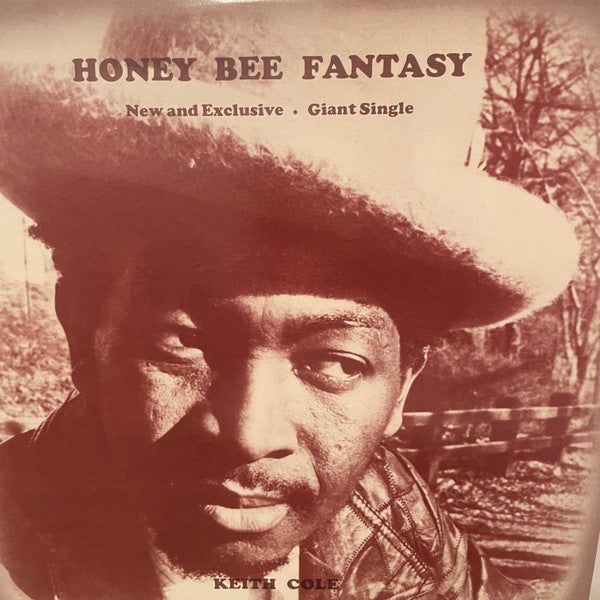 Keith Cole - Honey Bee Fantasy (12") (Mint (M))