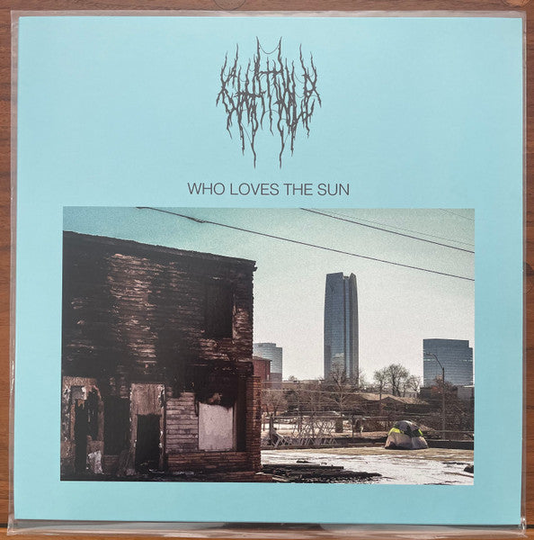 Chat Pile - Who Loves The Sun (LP) (Mint (M))