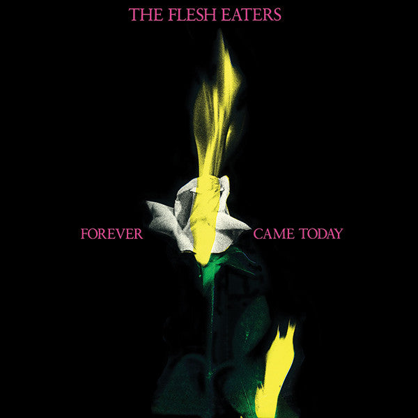Flesh Eaters, The - Forever Came Today (LP) (Very Good Plus (VG+))