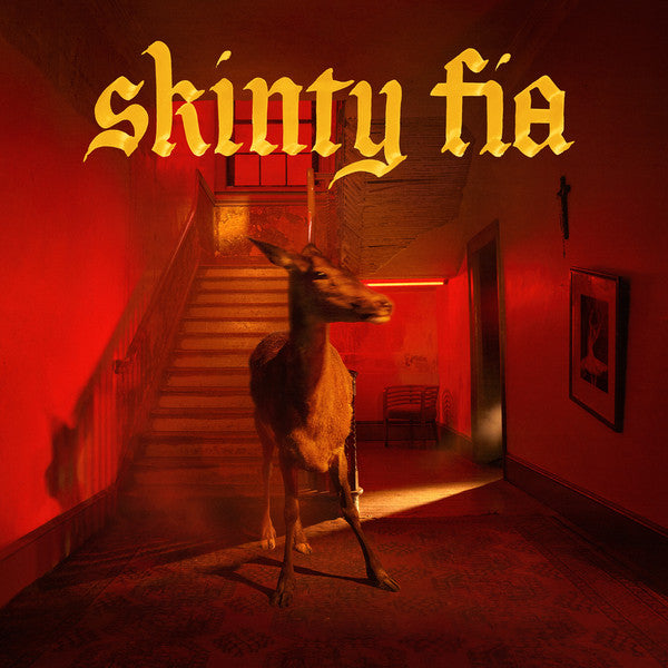 Fontaines D.C. - Skinty Fia (LP) (Mint (M))