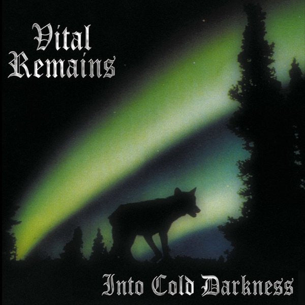 Vital Remains - Into Cold Darkness (LP) (Mint (M))