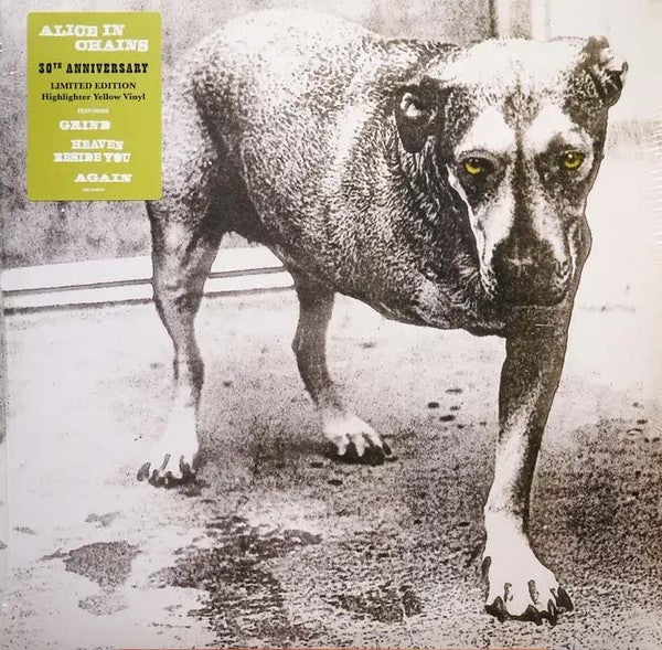 Alice In Chains - Alice In Chains (2xLP) (Mint (M))