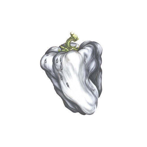 Ween - White Pepper (LP) (Mint (M))